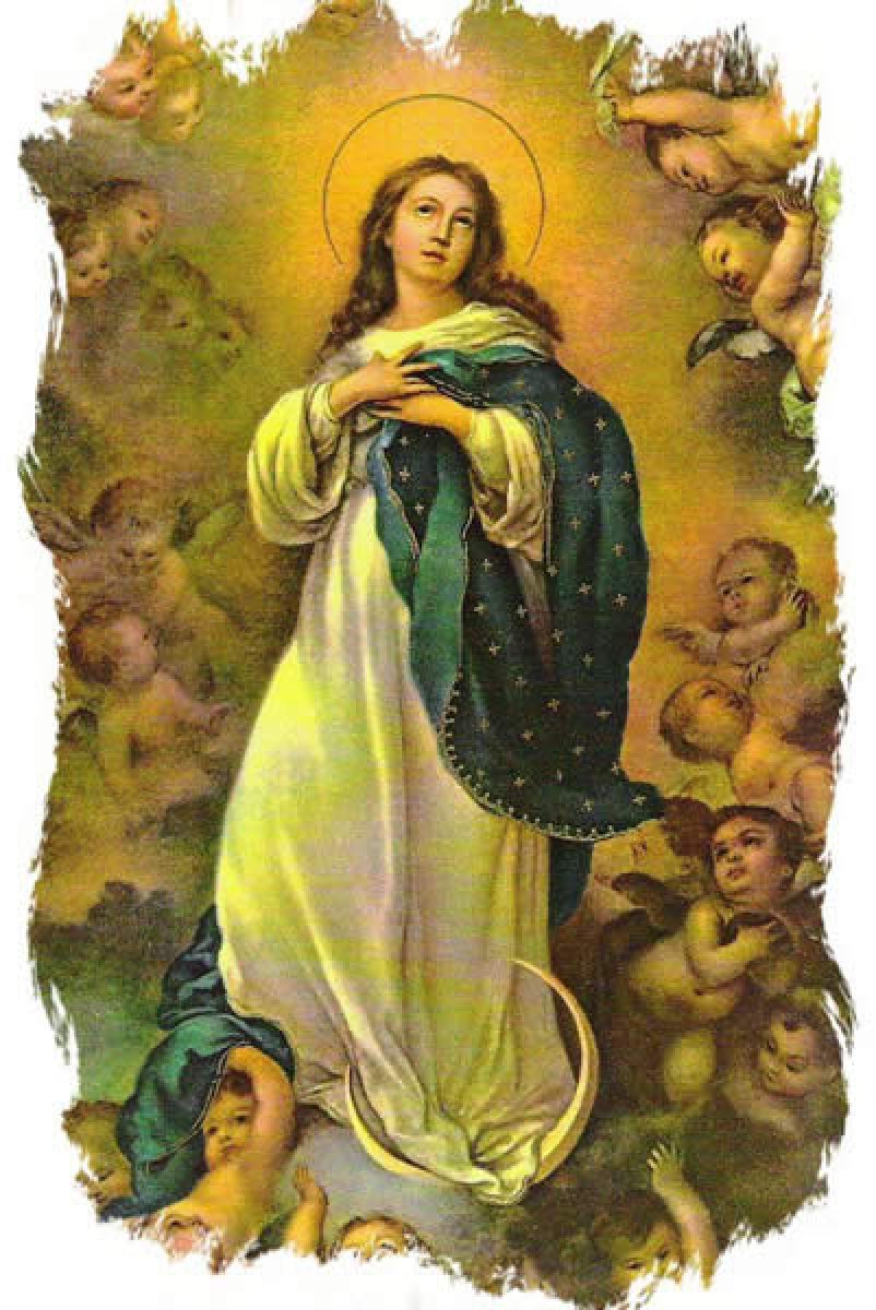Solenidade da Imaculada Conceição da Bem-Aventura Virgem Maria