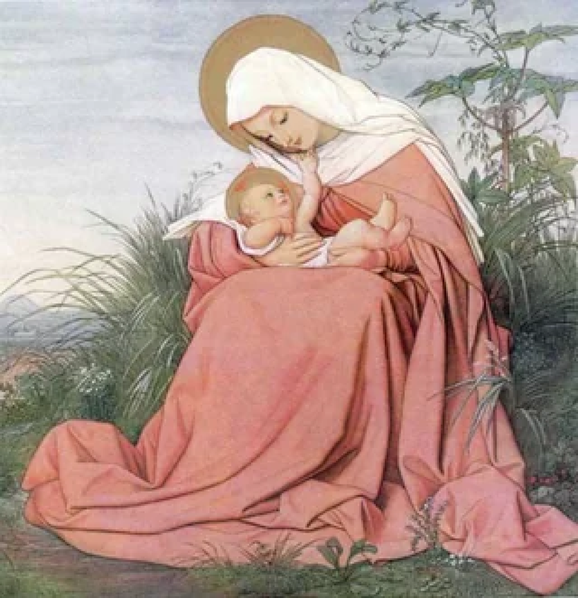 Homilia do 3º Domingo do Advento (Domingo Gaudete) - Ano A - São Mateus